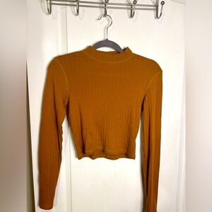 American eagle cropped longsleeve